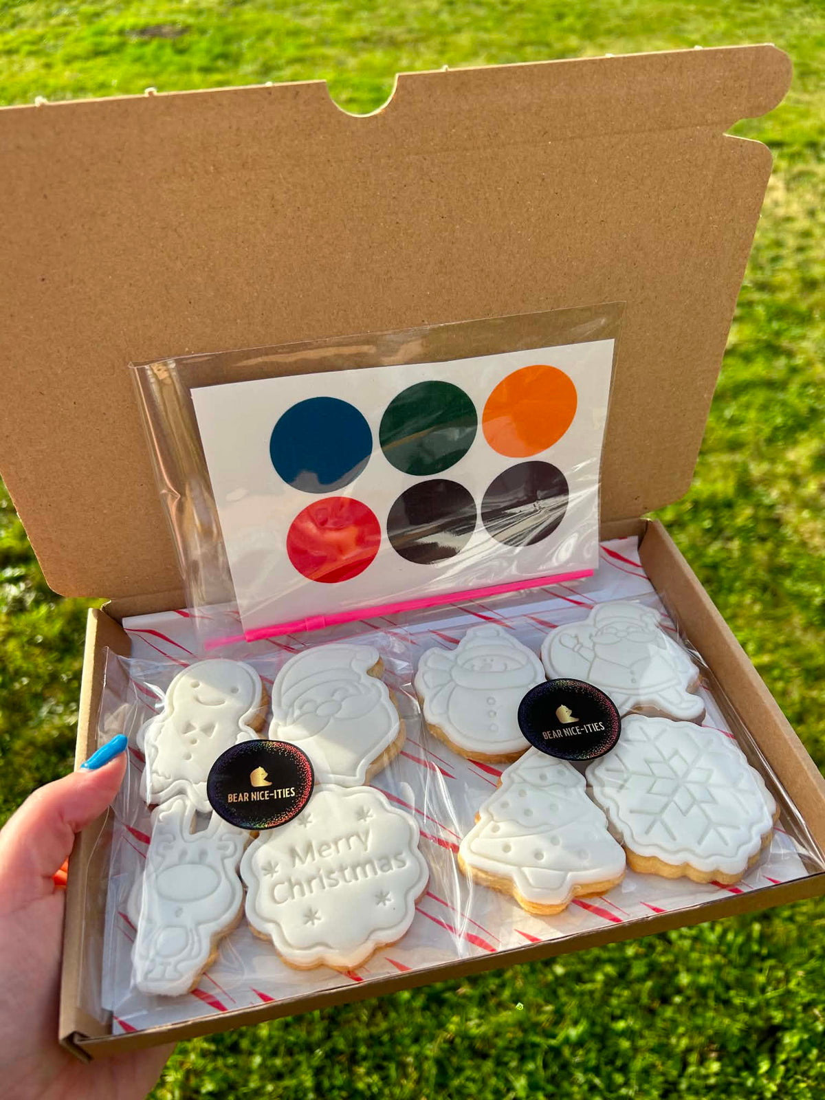 Paint Your Own Cookies